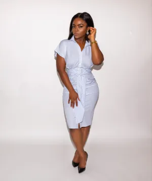 Blue Stripe Collared Dress