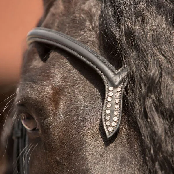 Kieffer Snaffle and Double Bridle Lazar