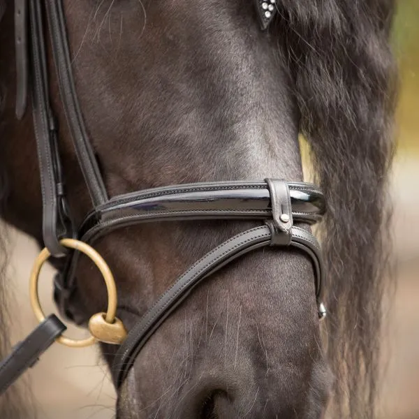 Kieffer Snaffle and Double Bridle Lazar